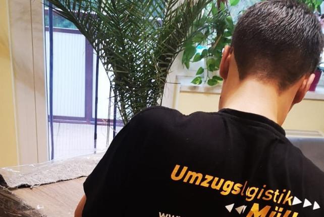Laborumzug Freiberg (Kreisstadt) stressfrei umziehen 